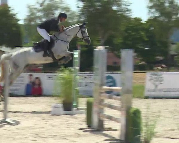 Reitturnier Rot am See- Musdorf 2022