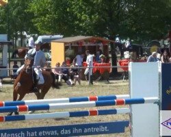 Springpferd Tirex 2 (Belgisches Warmblut, 2004, von Triomphe de Muze)