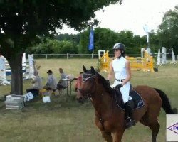 jumper Royal Lorenzo (Hanoverian, 2004, from Royal Z I)