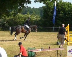 broodmare Belle Luga A (Westphalian, 2005, from Balou du Rouet)