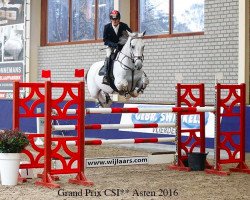 jumper Borland B (KWPN (Royal Dutch Sporthorse), 2006, from Corland)