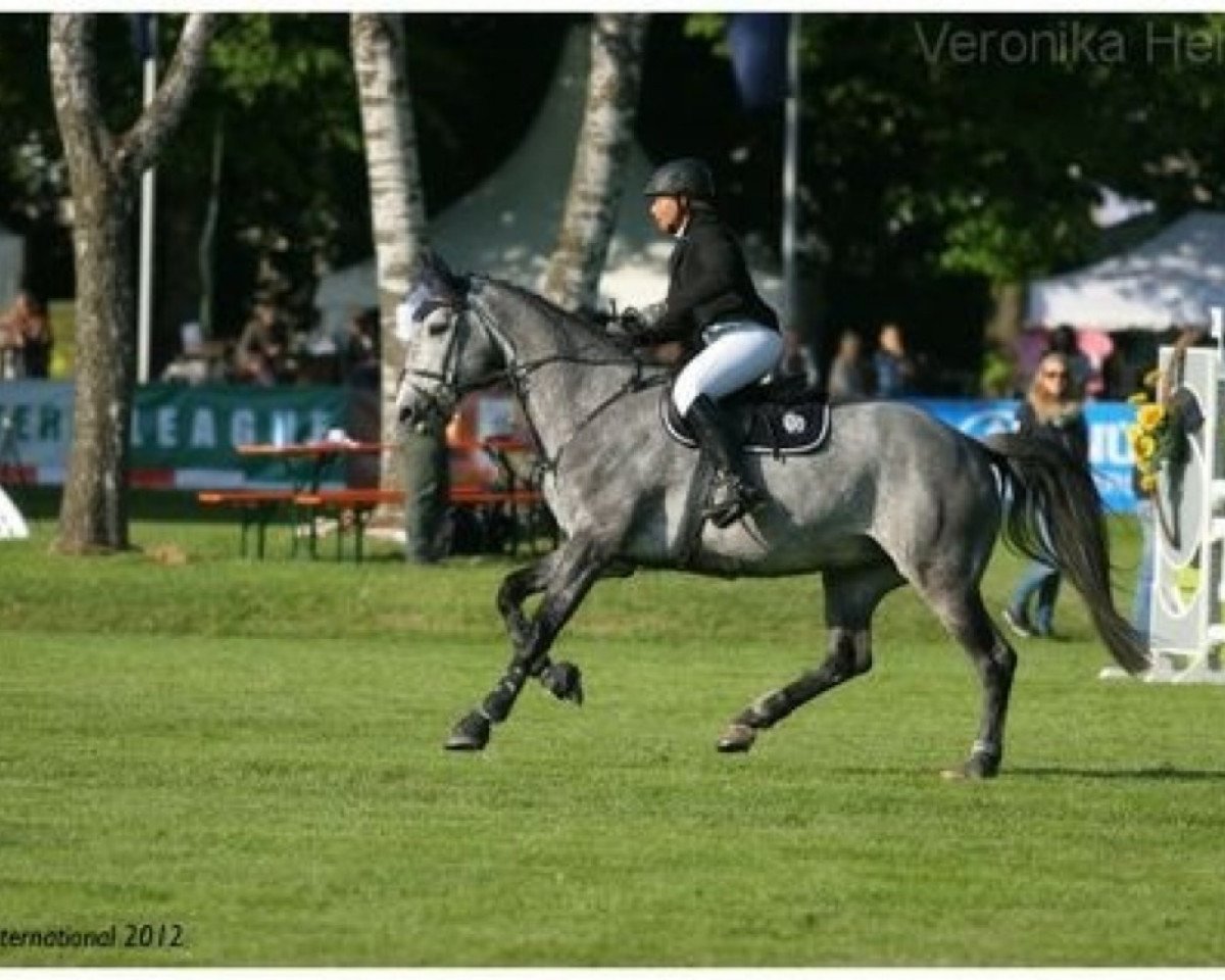 broodmare Celano's Girl (Westphalian, 2005, from Celano)