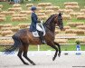 dressage horse Donna Clara 60 (Hanoverian, 2011, from Don Crusador)