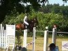 jumper Luke Lugar (Hanoverian, 2007, from Lex Lugar)