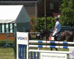 jumper Lalainy (Oldenburg show jumper, 2008, from Lex Lugar)