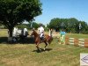 jumper Quinto 64 (Oldenburg show jumper, 2007, from Quidam's Rubin)