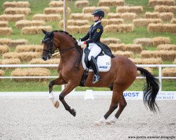 dressage horse Salitos (Westphalian, 2010, from Spielberg)