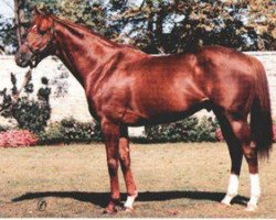 stallion Effervescing xx (Thoroughbred, 1973, from Le Fabuleux xx)