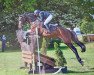 jumper Emery THC (anglo european sporthorse, 2016, from Caruso de Trebox)