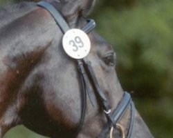 dressage horse Egolas (Hessian Warmblood, 2005, from Epernay)