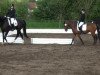 jumper Roldan (Hanoverian, 2003, from Rotspon)