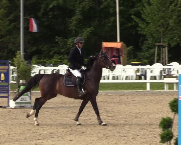 Reitturnier Ladelunder Springtage 2022
