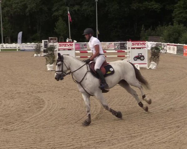Reitturnier Ladelunder Springtage 2022