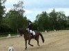 dressage horse Dadiva 4 (Oldenburg, 2005, from Diamond Hit)