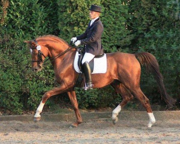 stallion Faun (Rhinelander, 1998, from Fidermark)