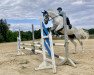 jumper Utrilo - D (Czech Warmblood, 2011, from Utrillo van de Heffinck)