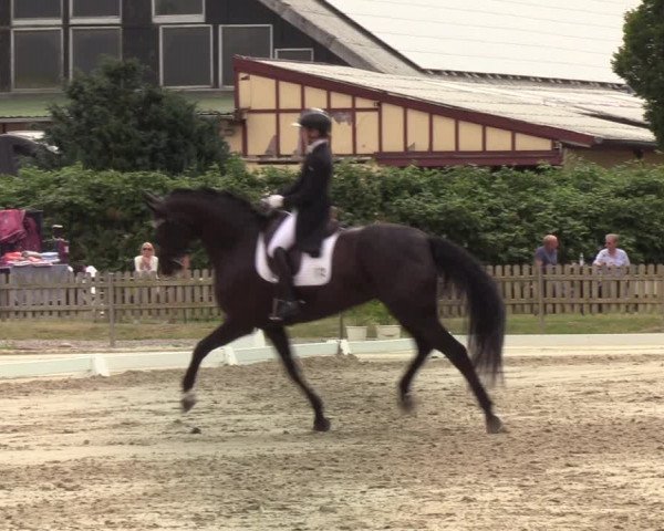 Reitturnier Schülp / Rendsburg 2022