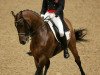 dressage horse Randon (Polish Warmblood, 1997, from Czuwaj)