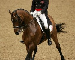 dressage horse Randon (Polish Warmblood, 1997, from Czuwaj)