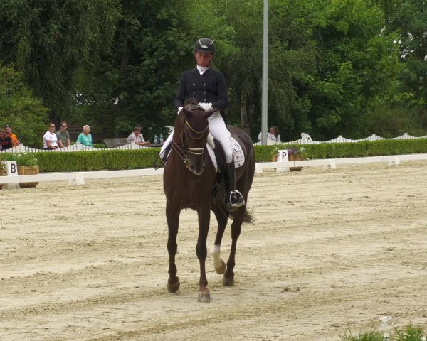 Reitturnier Neu-Anspach 2022