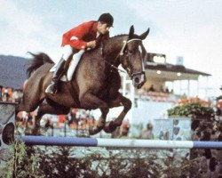 horse Warwick Rex (Hanoverian, 1966, from Wortschwall)