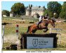 jumper Futur de La Nee (German Sport Horse, 2015, from Cheyenne de la Nee)