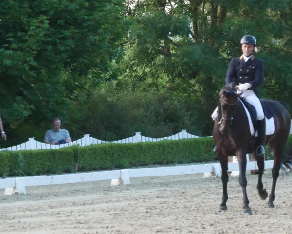 Reitturnier Neu-Anspach 2022
