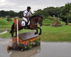 jumper Lanzelot 113 (Hanoverian, 2002, from Lauries Crusador xx)