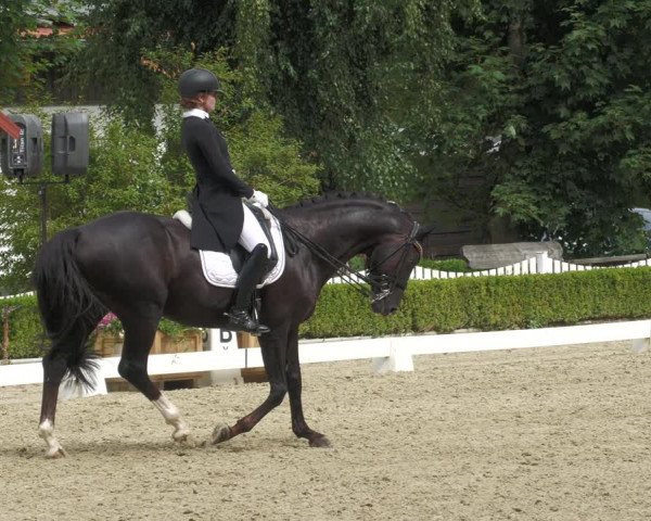 Reitturnier Neu-Anspach 2022