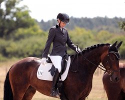 dressage horse Isetta SK (German Sport Horse, 2016, from Kiefferhof's Imperius)