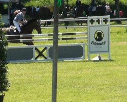 jumper Fabiola (Hanoverian, 1998, from Feiner Graf)