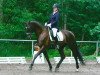 dressage horse Rubinfire S (Hessian Warmblood, 2001, from Rubioso N)