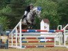 jumper Garry (Irish Sport Horse, 2004, from Rock Chanteur xx)