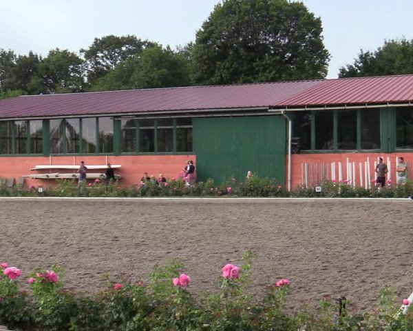 Reitturnier Schwanewede  2022