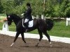 dressage horse Papayo (Westphalian, 2001, from Pik Labionics)