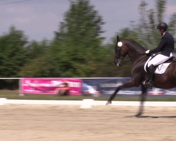 Reitturnier Baschütz bei Bautzen 2022