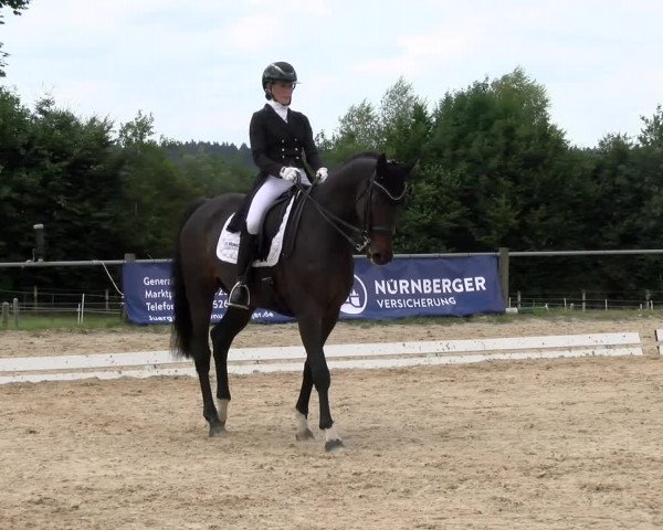 Reitturnier Biberach/Riß 2022