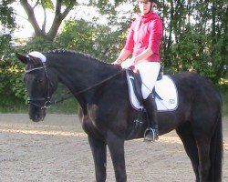 horse Moonlight Lady (German Sport Horse, 2007, from Mill Reef)