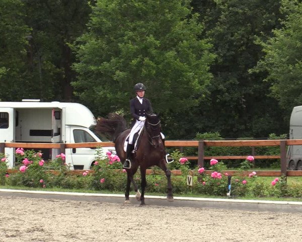 Reitturnier Schwanewede  2022