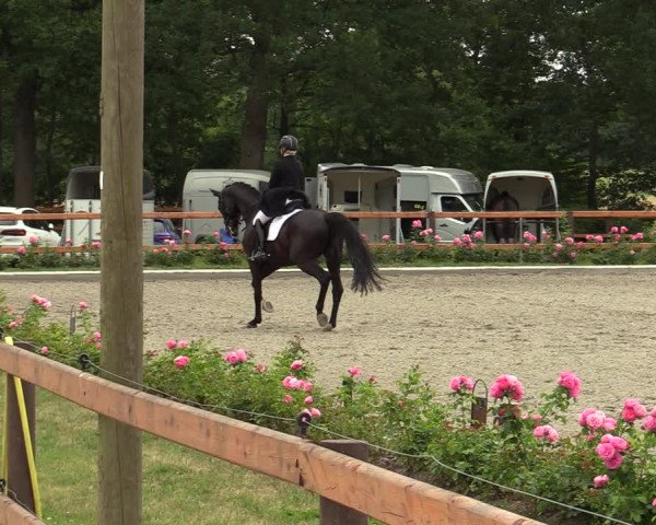 Reitturnier Schwanewede  2022