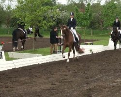 dressage horse Fideralala (Hanoverian, 2008, from Fidertanz)