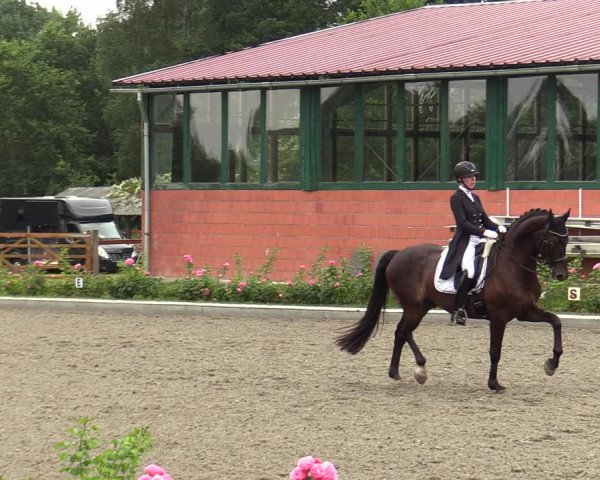 Reitturnier Schwanewede  2022