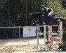 jumper Stolzi 3 (Hanoverian, 2014, from Stolzenberg)