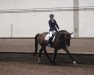 dressage horse Frida Gold 32 (Hanoverian, 2011, from Tannenhof's Fahrenheit)