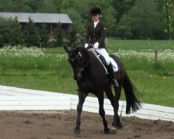 dressage horse Royal Edition (Oldenburg, 2004, from Rubin Royal OLD)