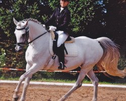 dressage horse Silvertop's Rice (Deutsches Reitpony, 1989, from Silvertop's Ricco)