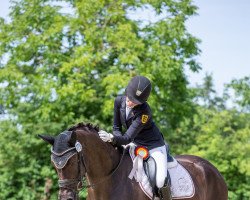 dressage horse Lovely Girl W (Westphalian, 2016, from Livaldon)