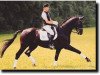 stallion Epikur (Hanoverian, 1996, from Espri)