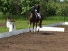 dressage horse Balinero 2 (Hanoverian, 2003, from Brentano II)