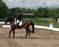 dressage horse Welcome Zorro 2 (Hanoverian, 2005, from Weltissimo 3)